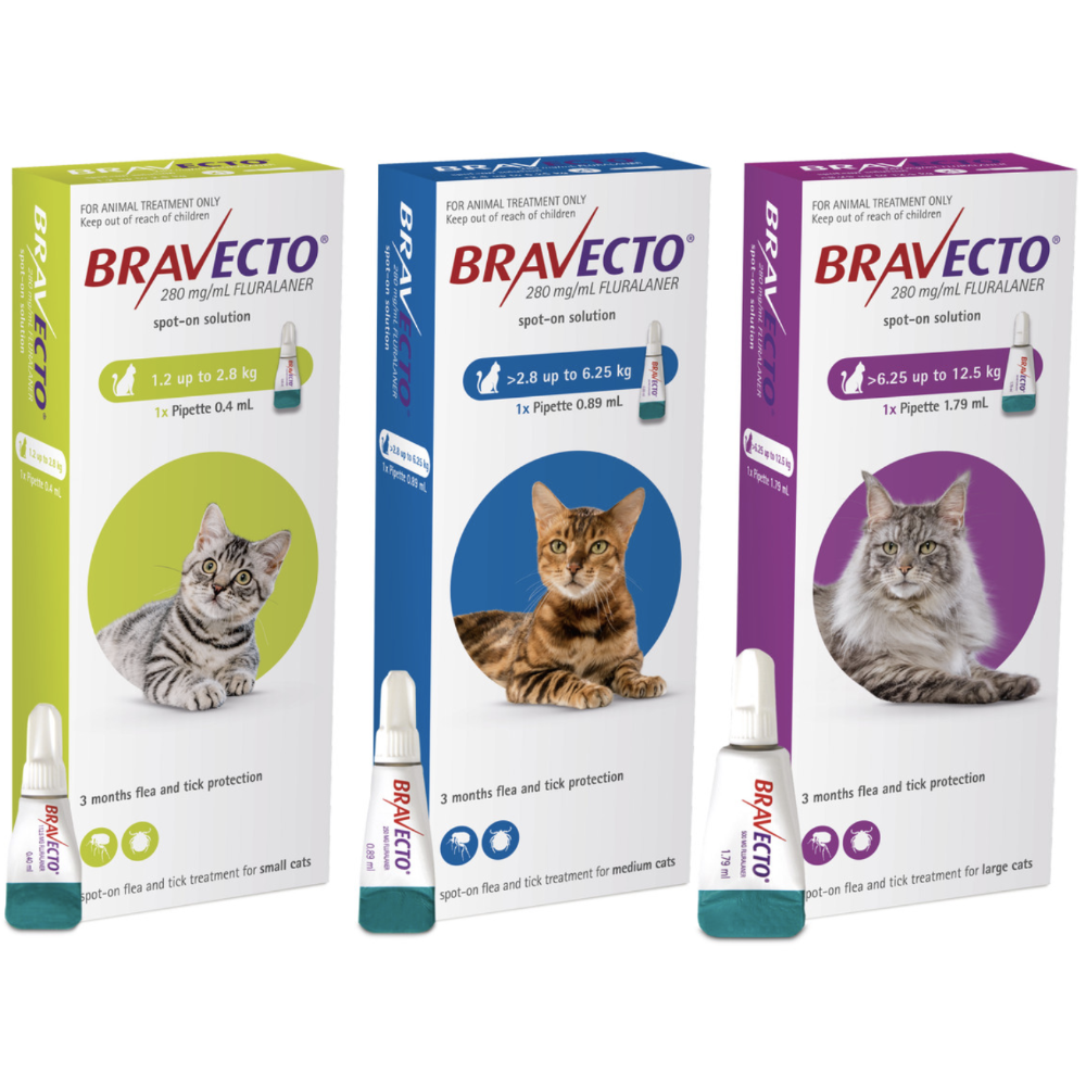 Bravecto® Spot-On for Cats