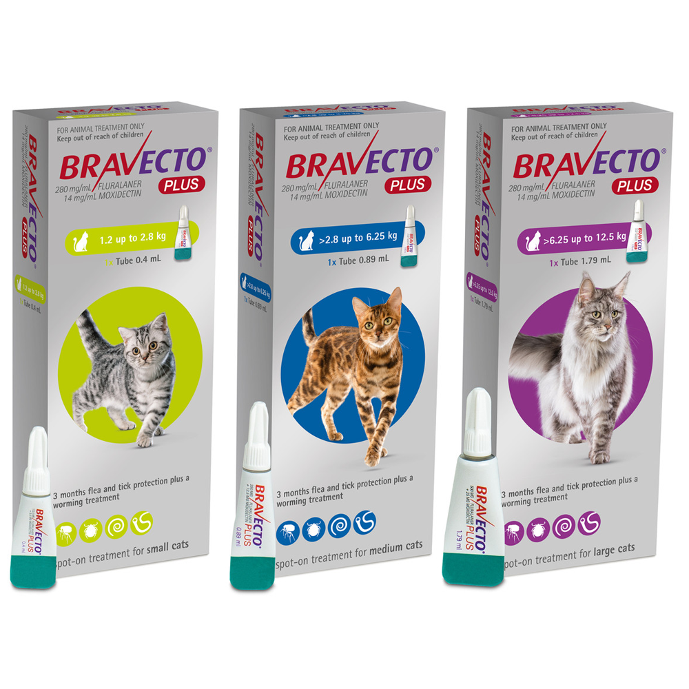 Bravecto® Plus Spot-On for Cats