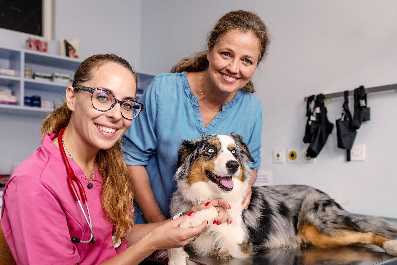 Two smiling veterinarians in pink and blue scrubs pose with a tricolor Australian Shepherd dog on an examination table in a clinic.