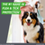 Frontline Plus® Spot-On for Dogs
