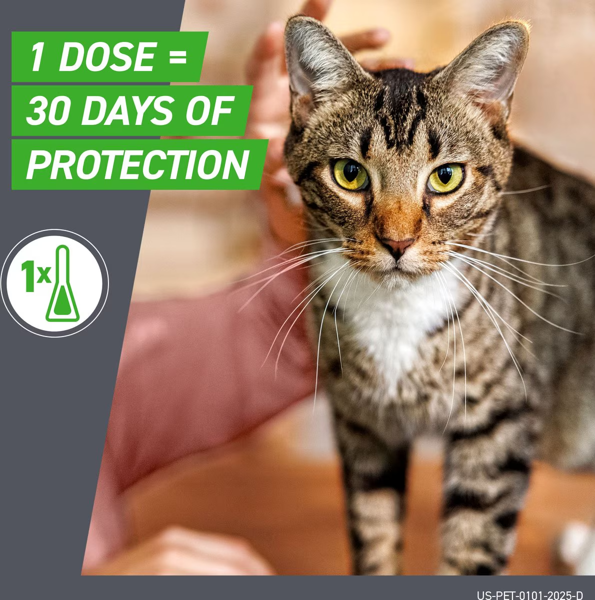 Frontline Plus® Spot-On for Cats