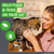 Frontline Plus® Spot-On for Cats