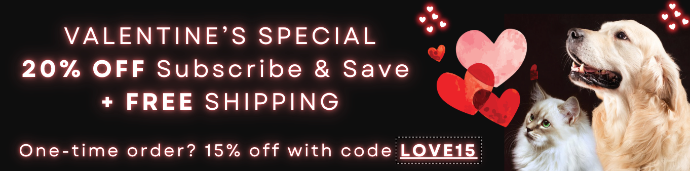 Promotional banner for Valentine's Day with a dog and cat, heart graphics, and text about a special offer.