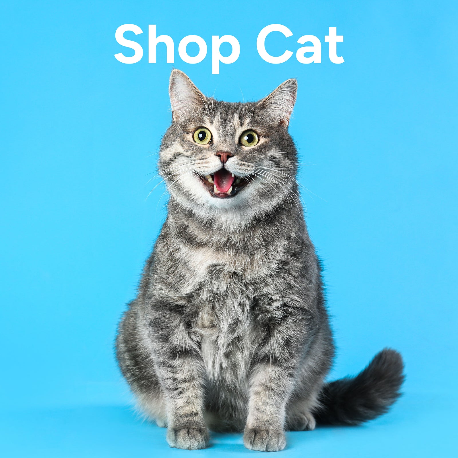 Cat with open mouth on a blue background, labeled 'Shop Cat'. The cat is representing flea, tick and worm treatments for cats.