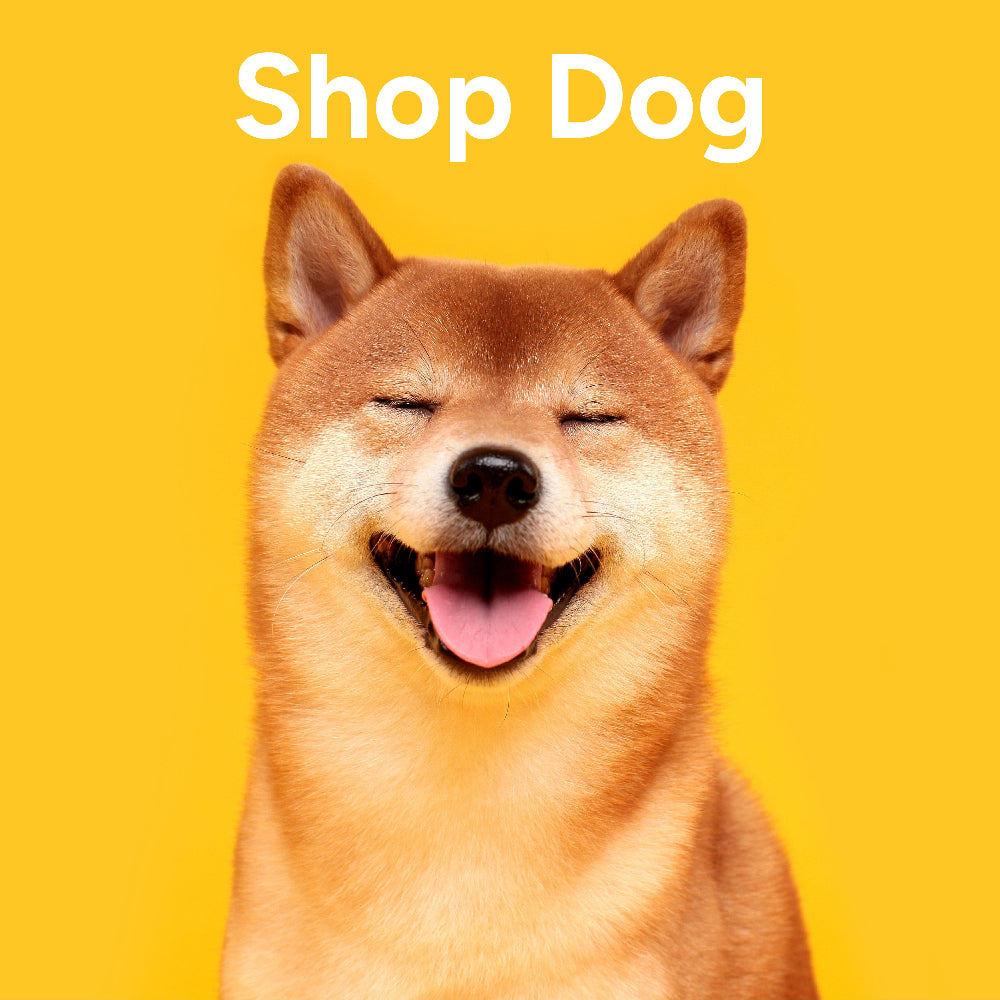 Dog with a happy expression on a yellow background with 'Shop Dog' text. The dog is representing flea, tick and worm treatments for dogs.